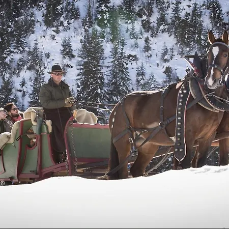 Exceptionnel Design, Bei Gstaad The Masa Gsteig